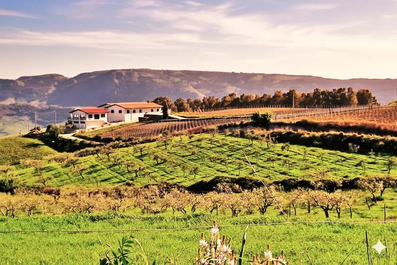 Eccellenza artigianale Torano - Azienda di Giovanna