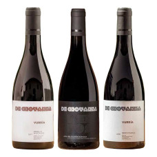 I Grandi Rossi di Contessa Entellina