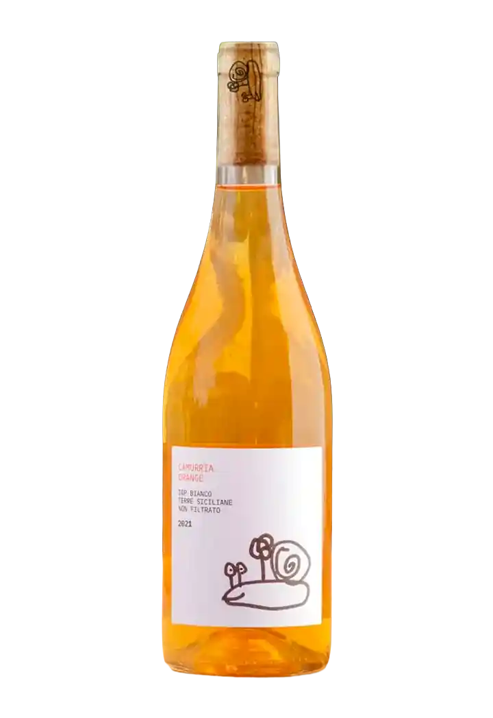 Camurria Orange 2024