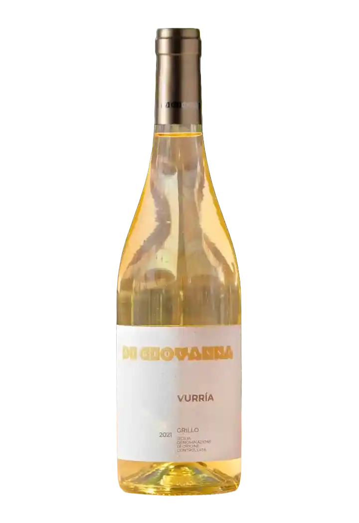 Vurria Grillo 2025